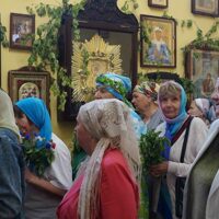 Троица 44